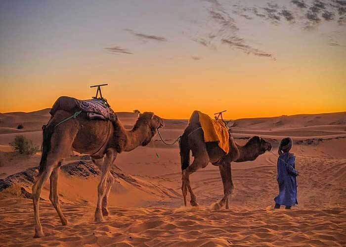 Riding camels to enjoy sunrise during your 4-Day Fes to Marrakech desert tour