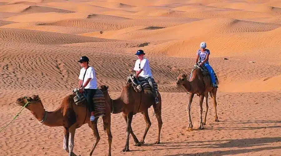 Camel ride during the Marrakech to Zagora 2-Day Desert tour