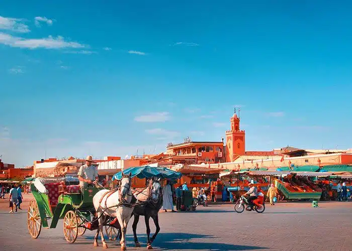 Guided shore excursion from Casablanca to Marrakech