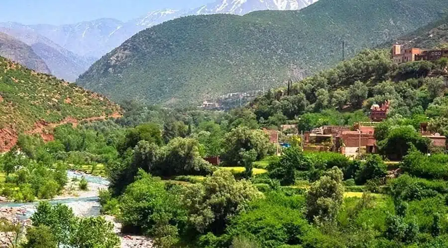 Marrakech to Ourika Valley Day Trip