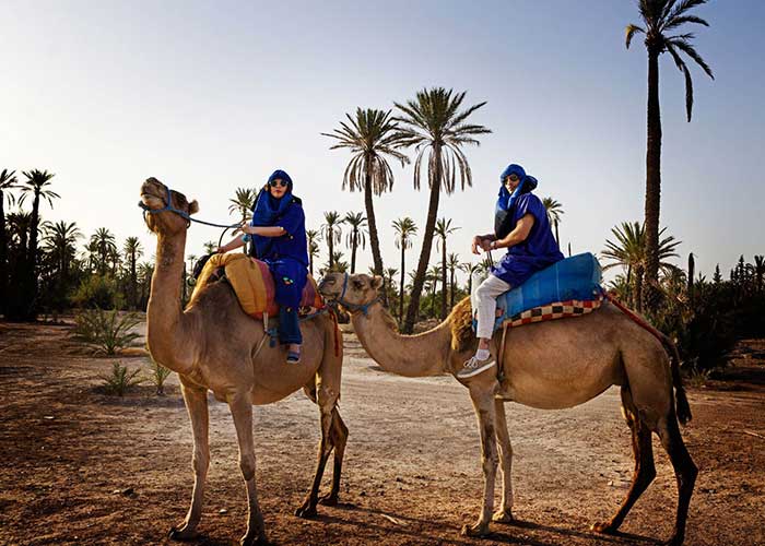 Marrakech camel ride