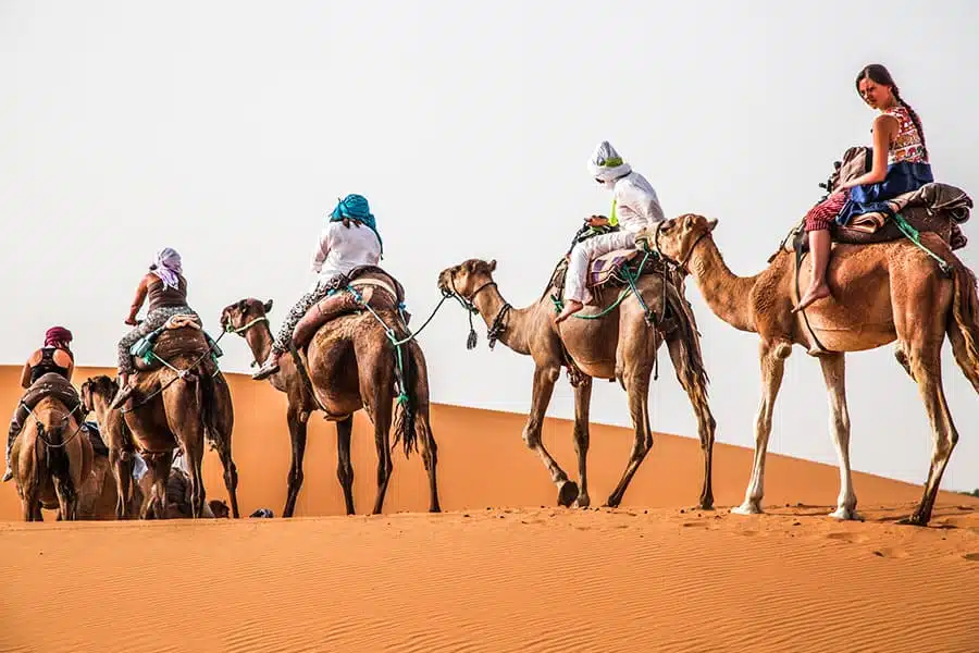 Camel ride in Morocco Sahara desert