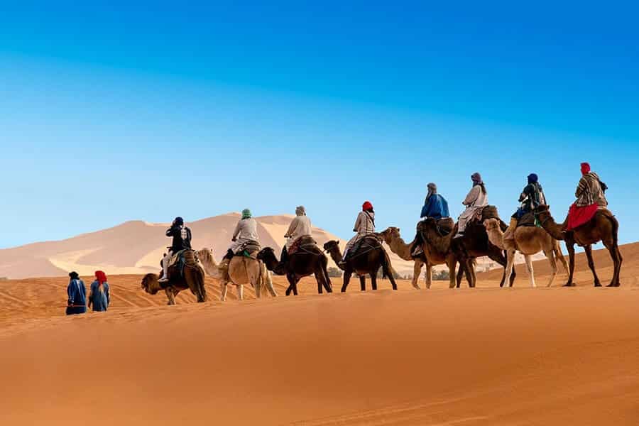 Sunset camel trek in Erg Chebbi dunes