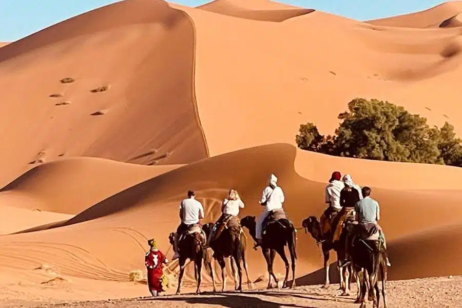 Camel trekking in Morocco Sahara desert