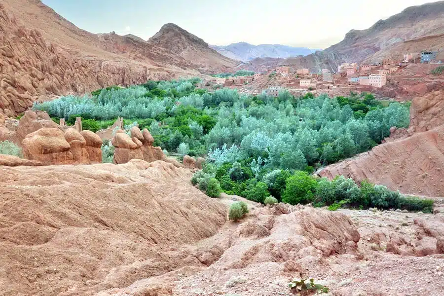 Dades Valley oasis