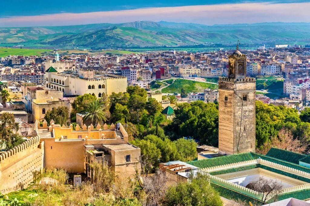 Panoramic rooftop view over Fes el-Bali medina and historic minaret