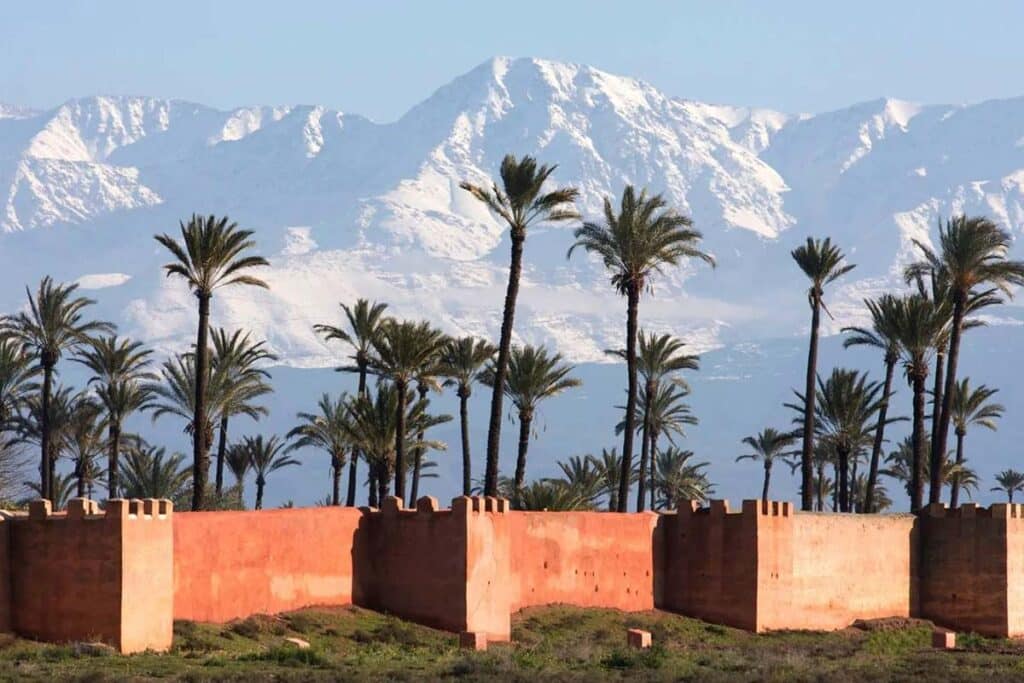 Palm-lined Marrakech ramparts with Atlas Mountain peaks in the background