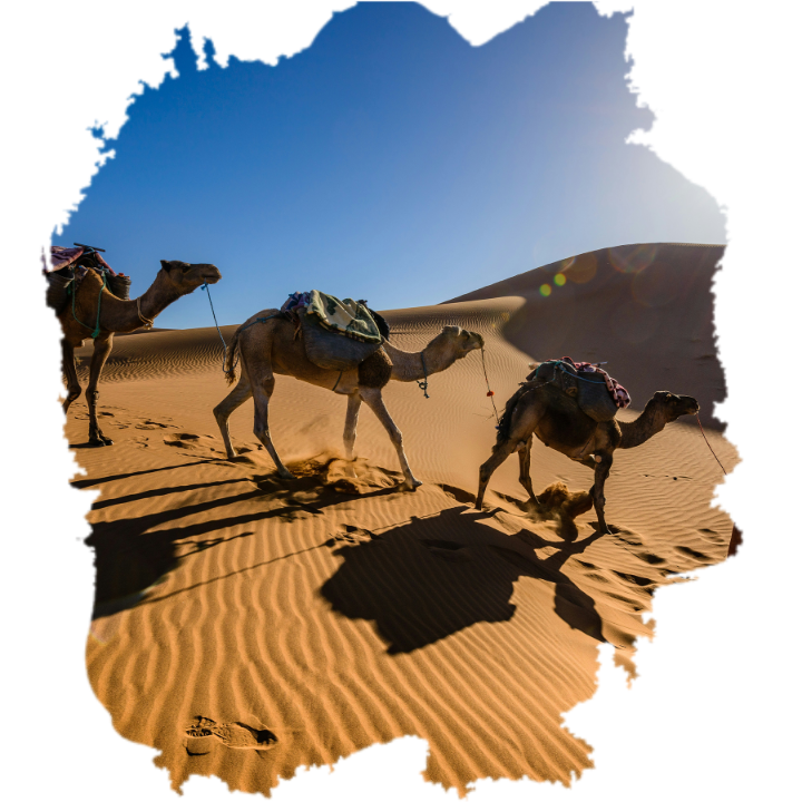 Sahara Morocco Tours