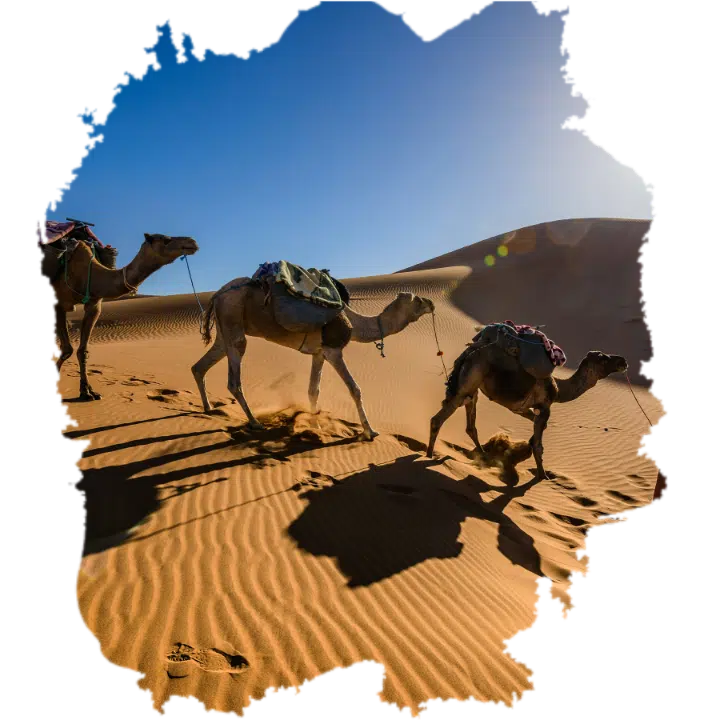 Sahara Morocco Tours