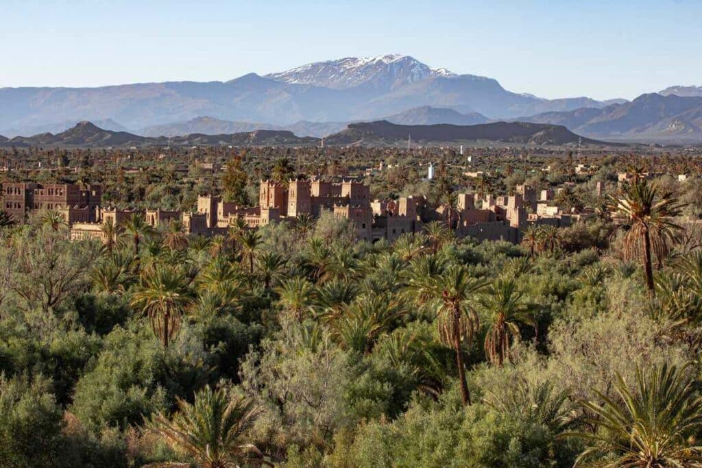 Palm-filled Skoura Oasis with mudbrick kasbahs backed by the High Atlas Mountains near Ouarzazate
