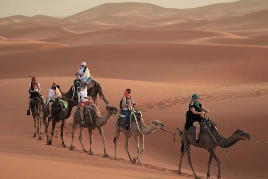 Group of tourists riding camels, best things to do in morocco