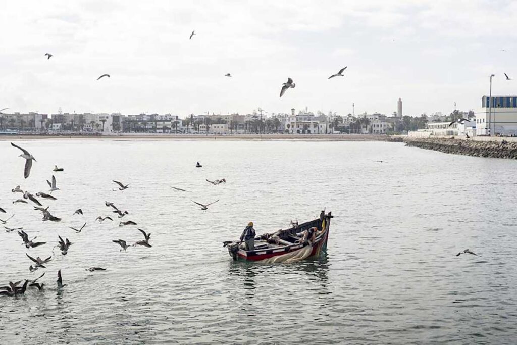 Wooden fishing boat with seagulls in El Jadida harbor on Morocco’s Atlantic coast