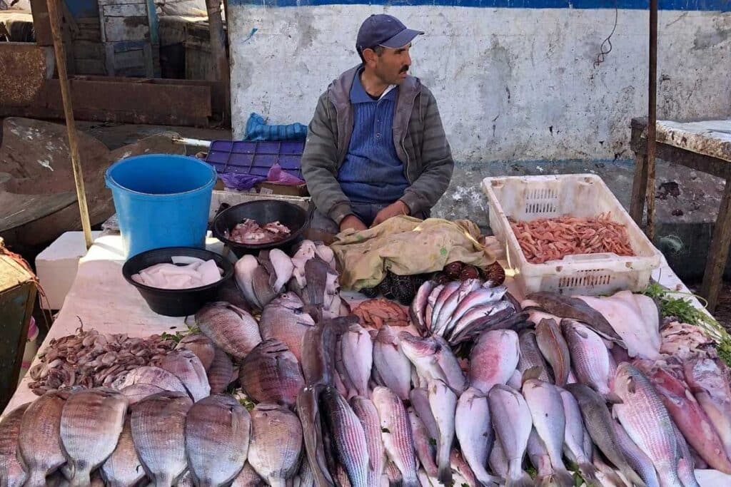 Vendor selling fresh Atlantic fish and shrimp at a port market in Essaouira